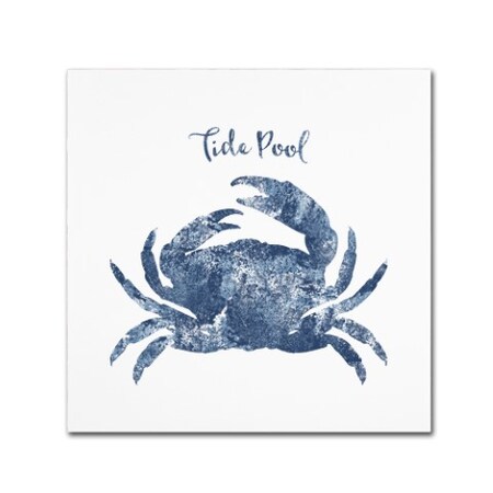 Tina Lavoie 'Tide Pool Crab' Canvas Art,35x35